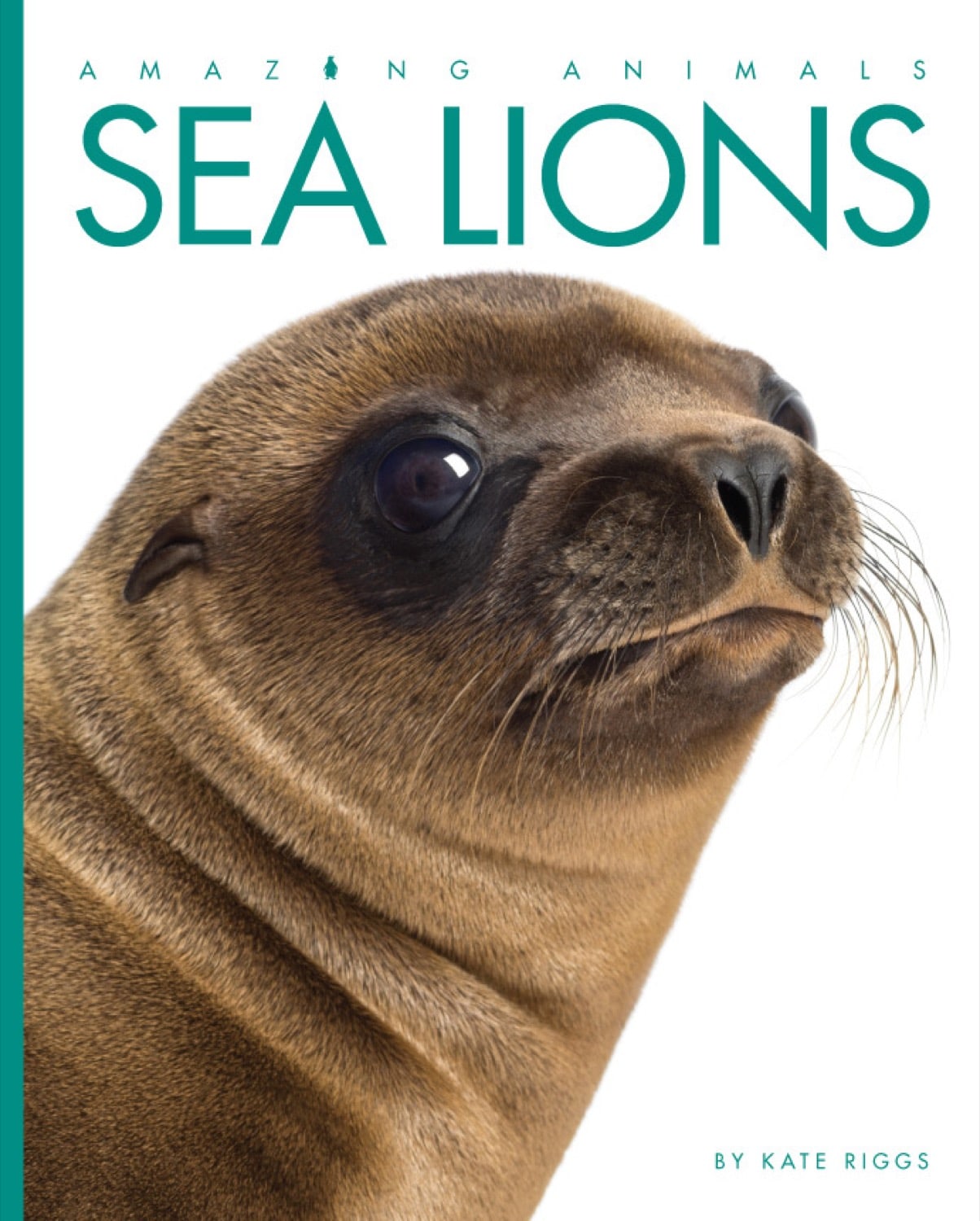 Amazing Animals (2014): Sea Lions