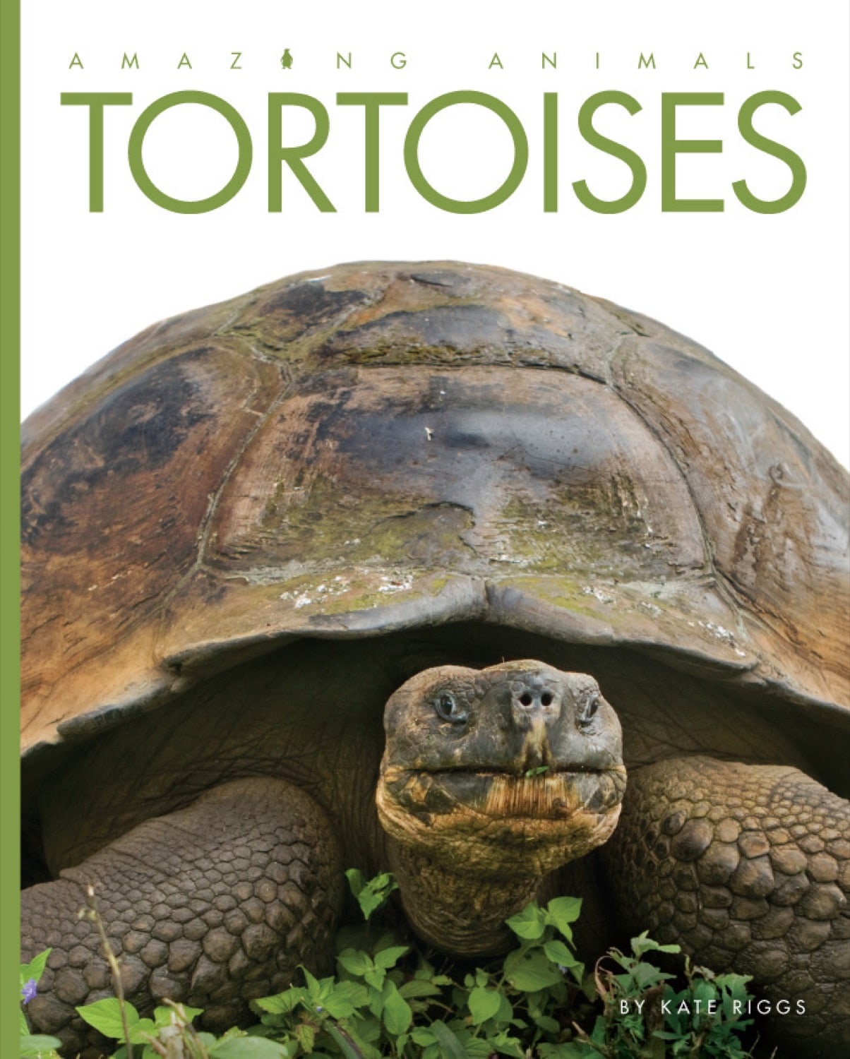 Amazing Animals (2014): Tortoises