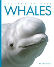 Laden Sie das Bild in den Galerie-Viewer, Amazing Animals (2014): Wale
