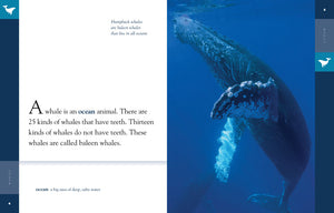 Amazing Animals (2014): Whales