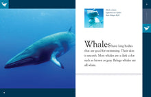 Laden Sie das Bild in den Galerie-Viewer, Amazing Animals (2014): Wale
