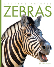 Laden Sie das Bild in den Galerie-Viewer, Amazing Animals (2014): Zebras

