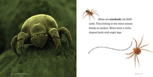 Creepy Creatures: Mites