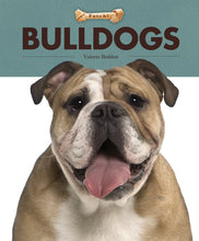 Laden Sie das Bild in den Galerie-Viewer, Holen!: Bulldoggen
