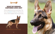 Laden Sie das Bild in den Galerie-Viewer, Holen!: Deutsche Schäferhunde
