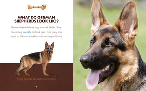Holen!: Deutsche Schäferhunde
