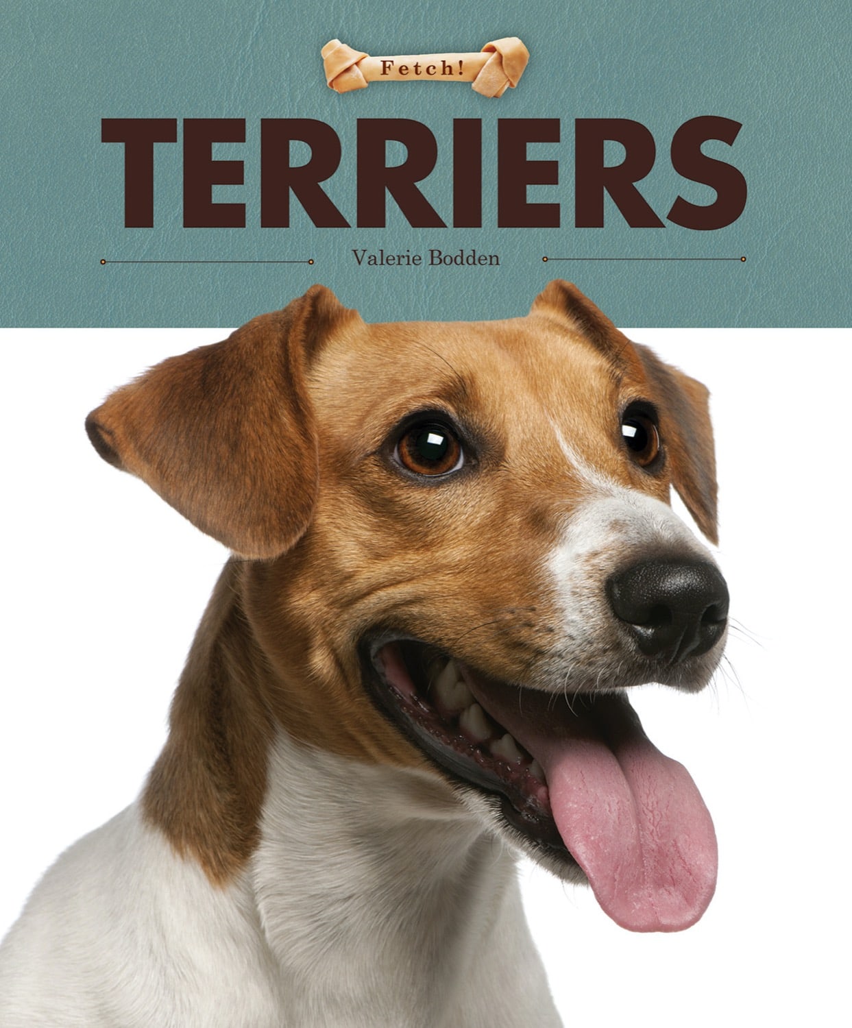 Fetch!: Terriers
