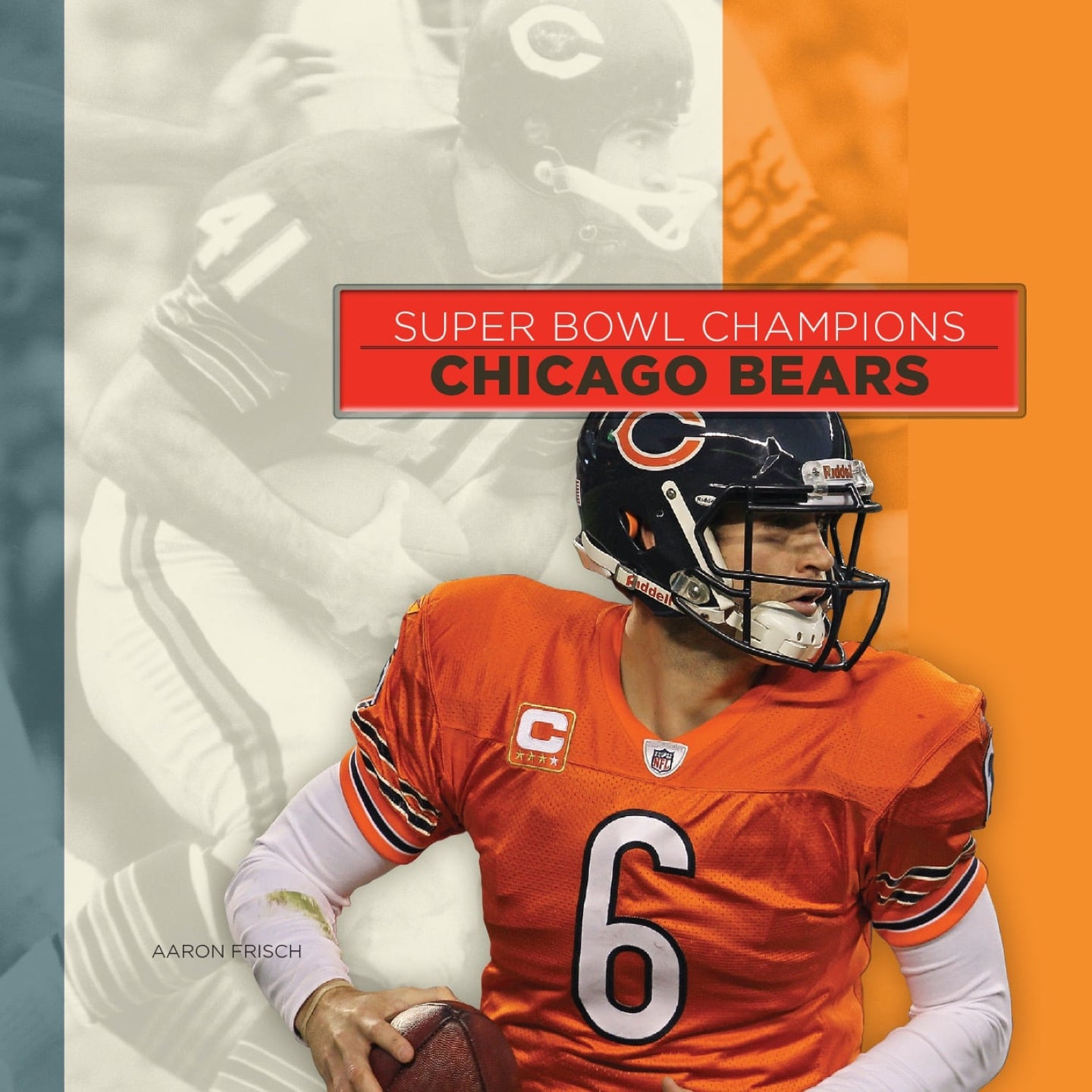 Super Bowl Champions: Chicago Bears (2014)