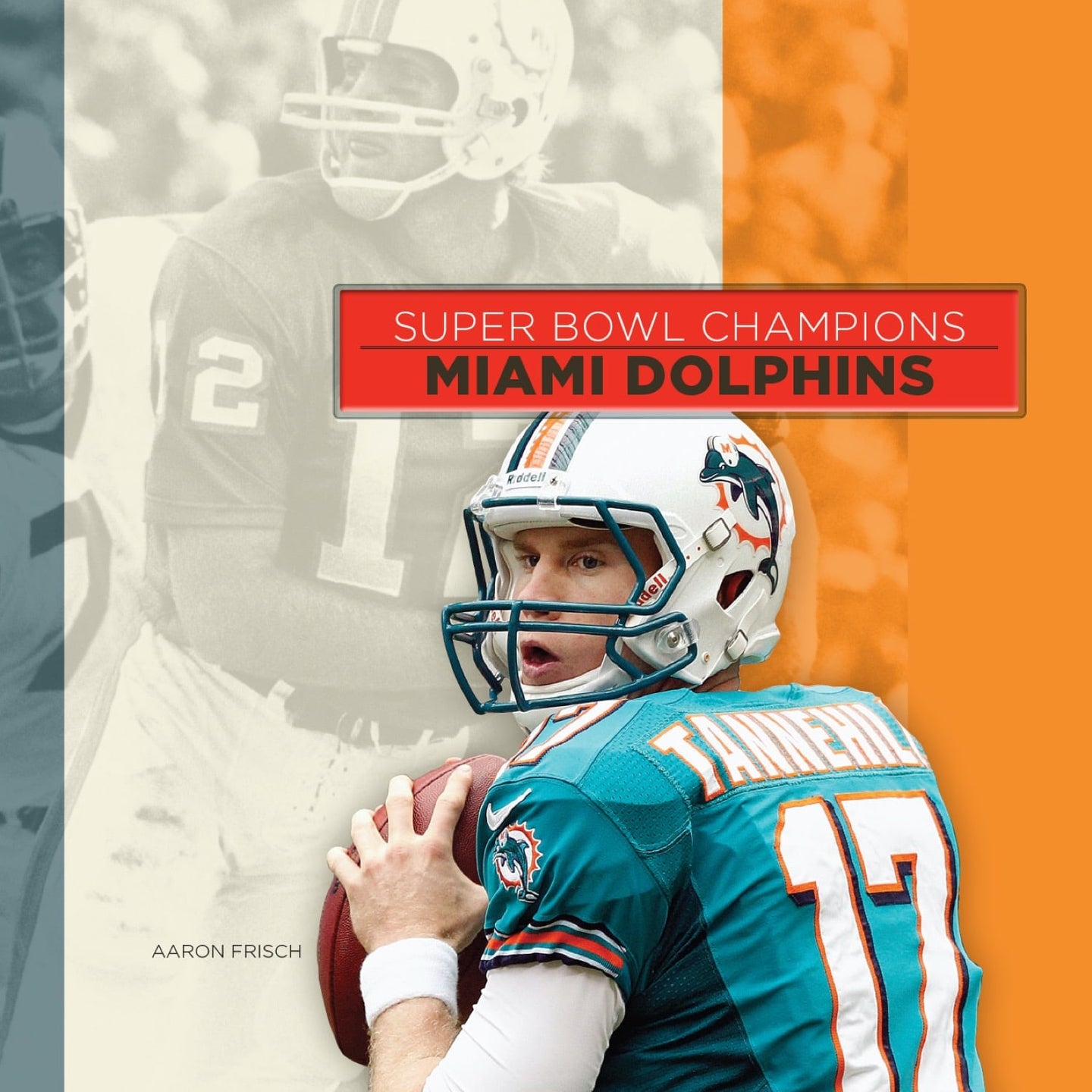 Miami Dolphins Super Bowl Poster