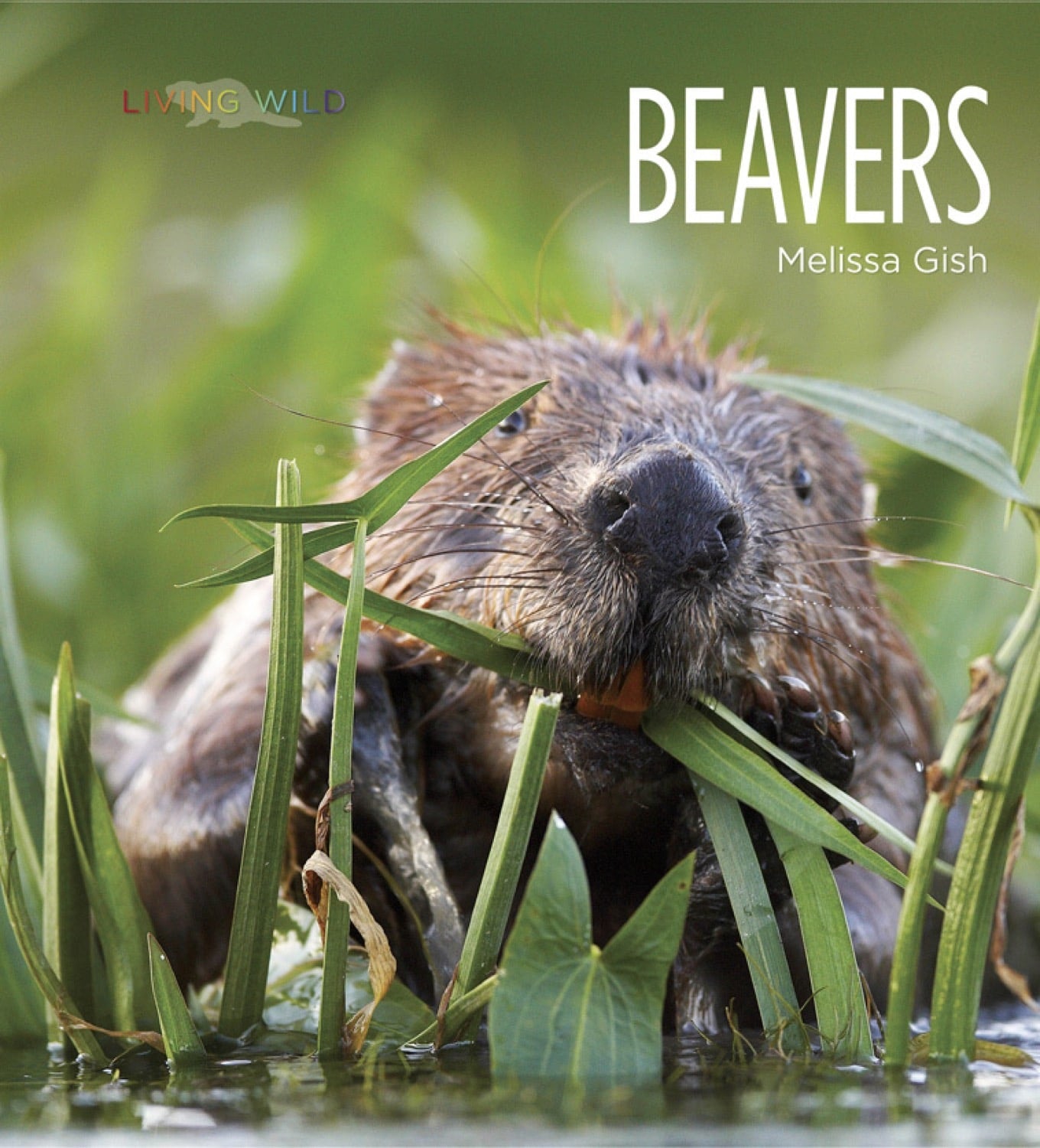 Living Wild - Classic Edition: Beavers