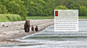 Living Wild - Classic Edition: Brown Bears