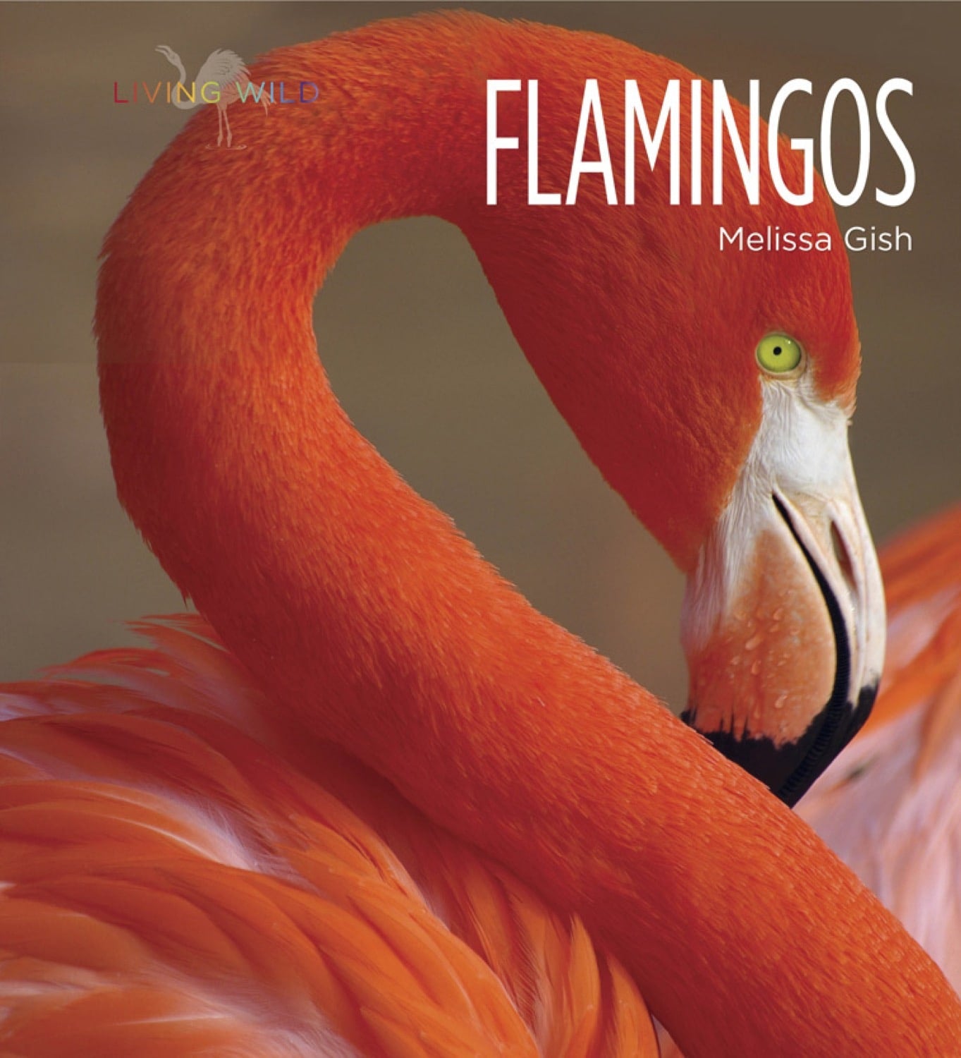 Living Wild - Classic Edition: Flamingos