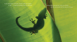 Living Wild - Classic Edition: Geckos