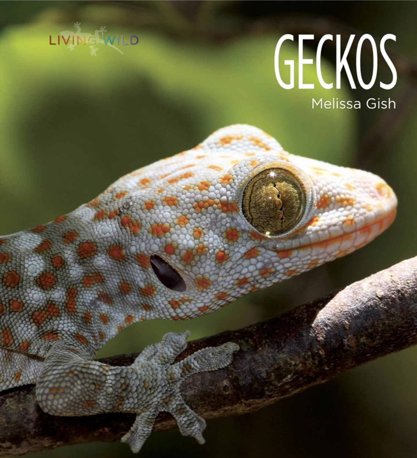Living Wild - Classic Edition: Geckos