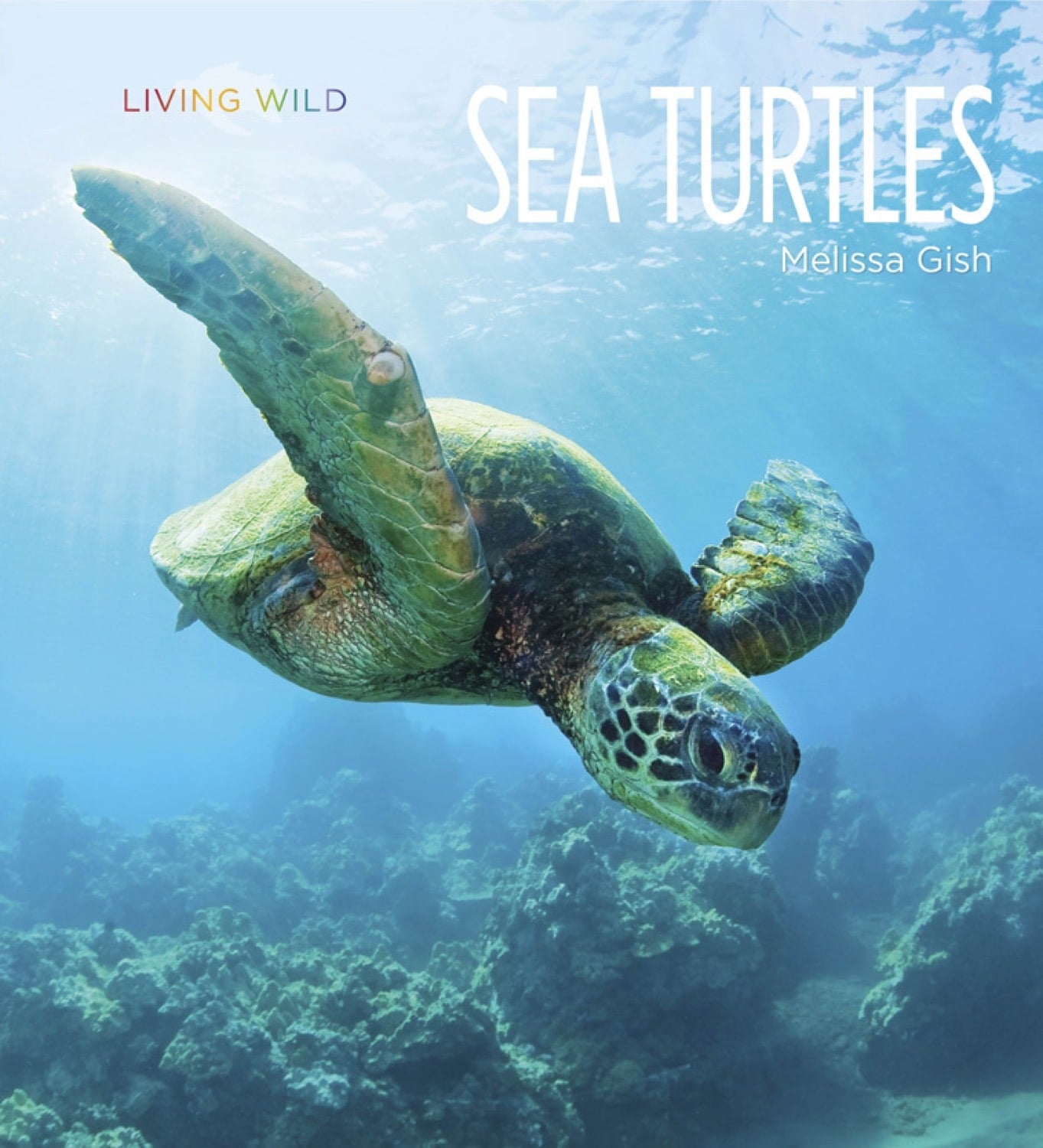 Living Wild - Classic Edition: Sea Turtles