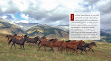 Laden Sie das Bild in den Galerie-Viewer, Living Wild - Classic Edition: Wilde Pferde
