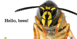 Sämlinge: Bienen