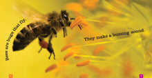 Laden Sie das Bild in den Galerie-Viewer, Sämlinge: Bienen
