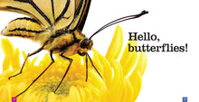 Laden Sie das Bild in den Galerie-Viewer, Sämlinge: Schmetterlinge
