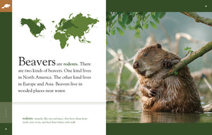 Amazing Animals (2014): Beavers