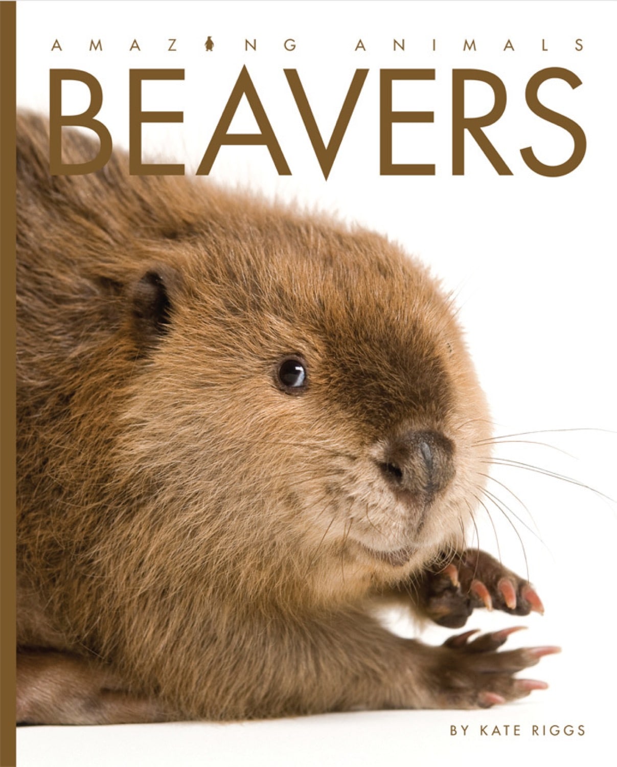 Amazing Animals (2014): Beavers
