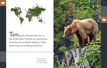 Laden Sie das Bild in den Galerie-Viewer, Amazing Animals (2014): Braunbären
