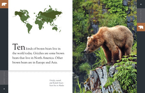 Amazing Animals (2014): Brown Bears