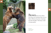 Laden Sie das Bild in den Galerie-Viewer, Amazing Animals (2014): Braunbären
