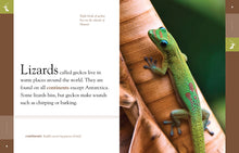 Laden Sie das Bild in den Galerie-Viewer, Erstaunliche Tiere (2014): Geckos

