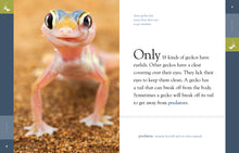 Laden Sie das Bild in den Galerie-Viewer, Erstaunliche Tiere (2014): Geckos
