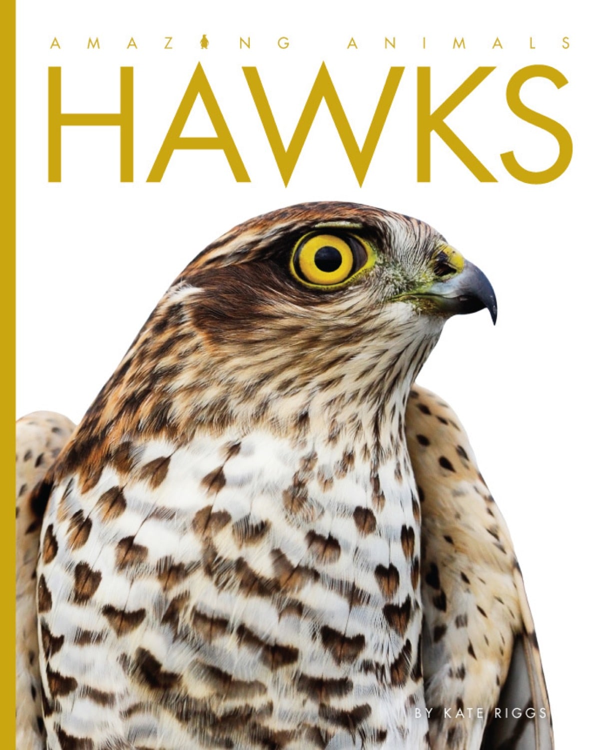 Amazing Animals (2014): Hawks