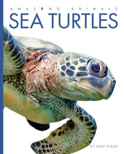Laden Sie das Bild in den Galerie-Viewer, Amazing Animals (2014): Meeresschildkröten
