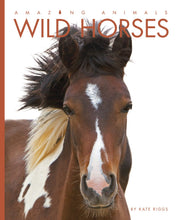 Laden Sie das Bild in den Galerie-Viewer, Amazing Animals (2014): Wilde Pferde
