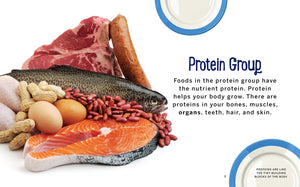 Gesunde Teller: Proteine