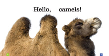 Laden Sie das Bild in den Galerie-Viewer, Sämlinge: Kamele
