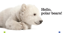 Laden Sie das Bild in den Galerie-Viewer, Sämlinge: Eisbären
