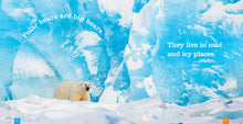 Laden Sie das Bild in den Galerie-Viewer, Sämlinge: Eisbären
