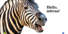 Laden Sie das Bild in den Galerie-Viewer, Sämlinge: Zebras
