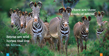 Laden Sie das Bild in den Galerie-Viewer, Sämlinge: Zebras
