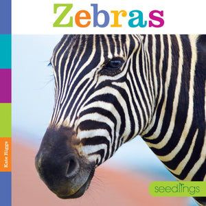 Seedlings: Zebras