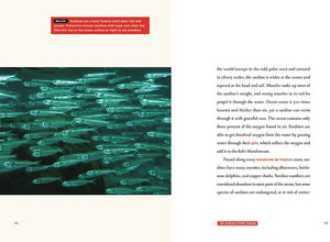 Odysseys in Nature: Ocean Food Chain, An