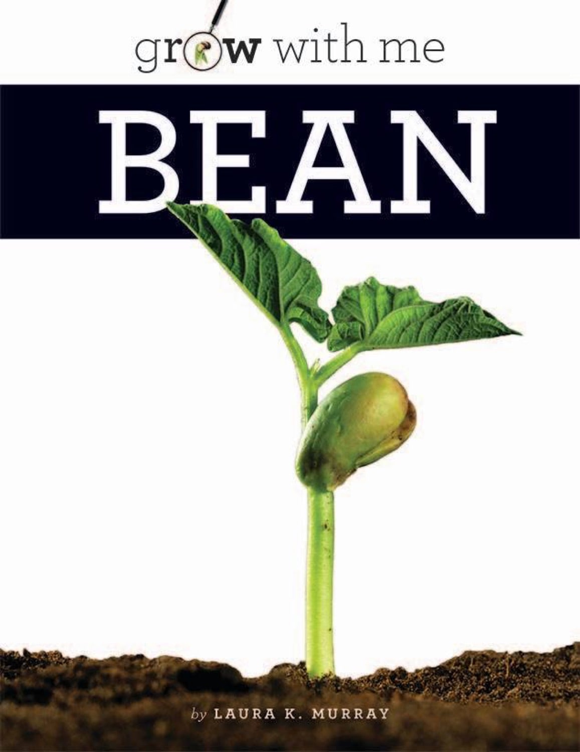 Grow with Me: Bean