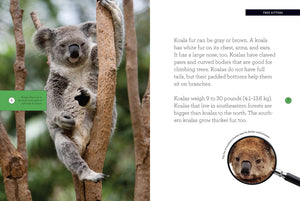 Grow with Me: Koala