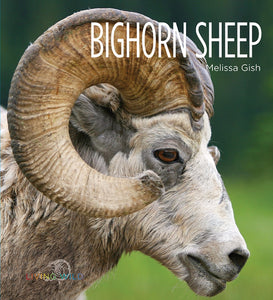 Living Wild - Classic Edition: Bighorn Sheep