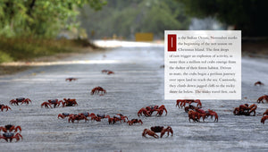Living Wild - Classic Edition: Crabs