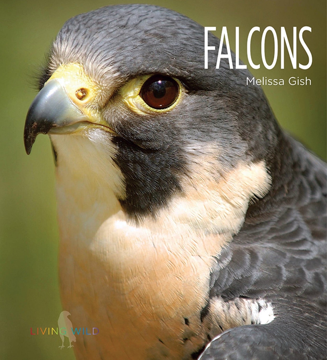 Living Wild - Classic Edition: Falcons