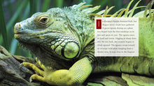 Laden Sie das Bild in den Galerie-Viewer, Living Wild - Classic Edition: Leguane
