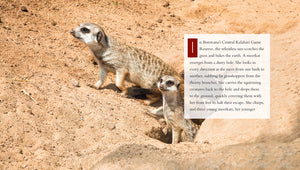 Living Wild - Classic Edition: Meerkats