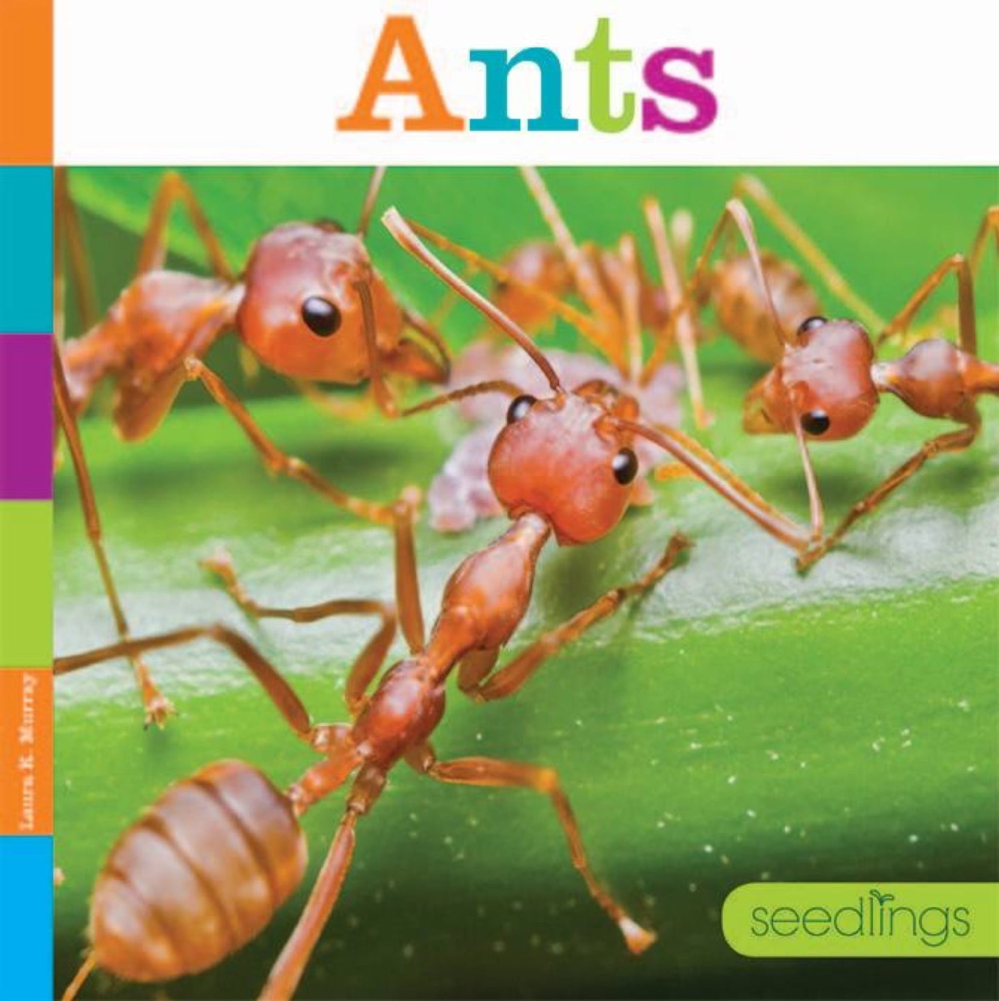 Sämlinge: Ameisen