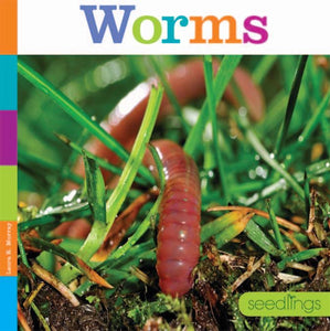 Seedlings: Worms